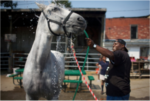 James Chase “fruit,” manager of the Arabber Yard. Photo credit: Holden Warren