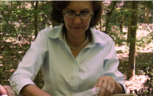 Julia King
